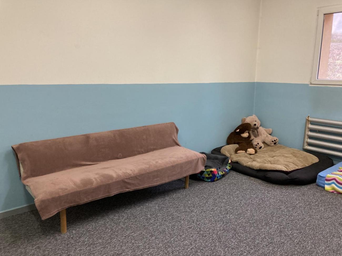 Svět práce - Útulek pro opuštěná a nalezená zvířata  7.A