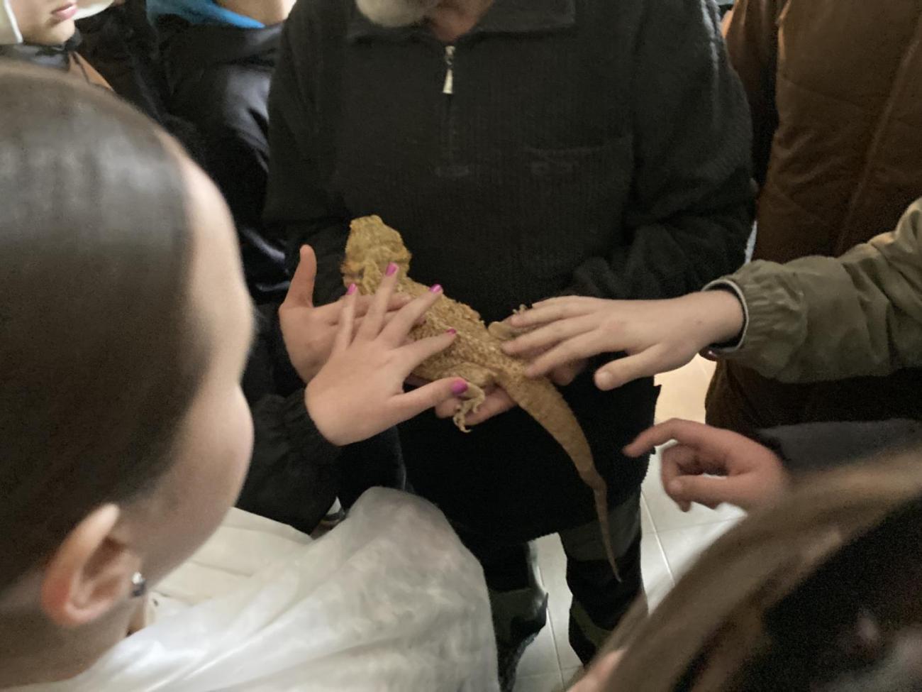 Svět práce - Útulek pro opuštěná a nalezená zvířata  7.A