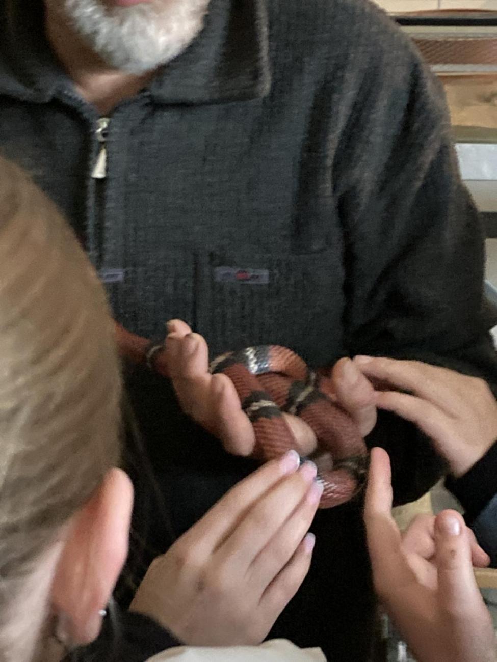 Svět práce - Útulek pro opuštěná a nalezená zvířata  7.A