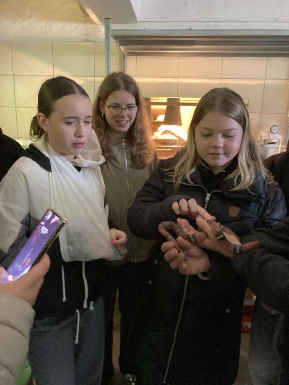 Svět práce - Útulek pro opuštěná a nalezená zvířata  7.A