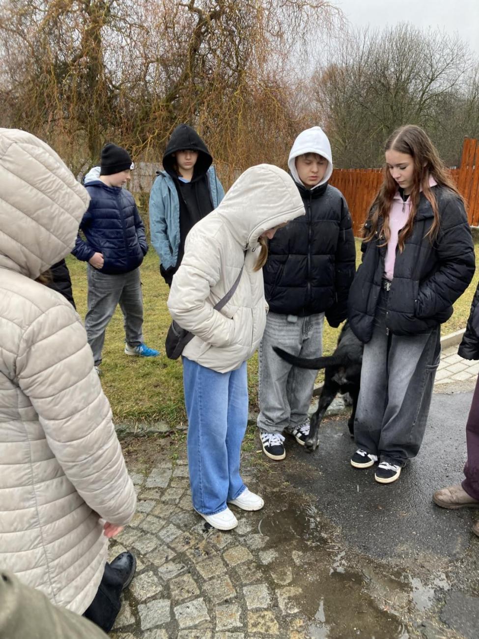 Svět práce - Útulek pro opuštěná a nalezená zvířata  7.A