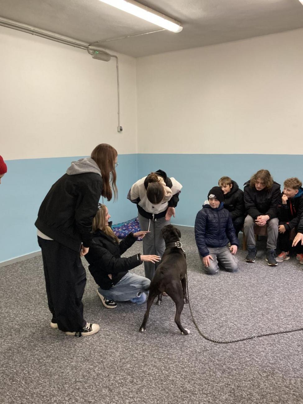 Svět práce - Útulek pro opuštěná a nalezená zvířata  7.A