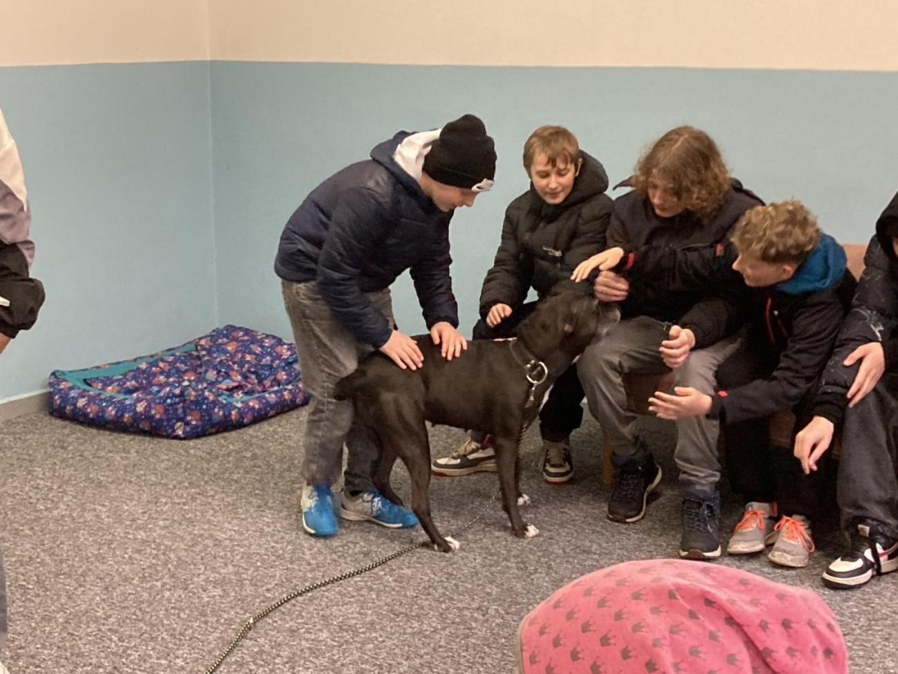 Svět práce - Útulek pro opuštěná a nalezená zvířata  7.A