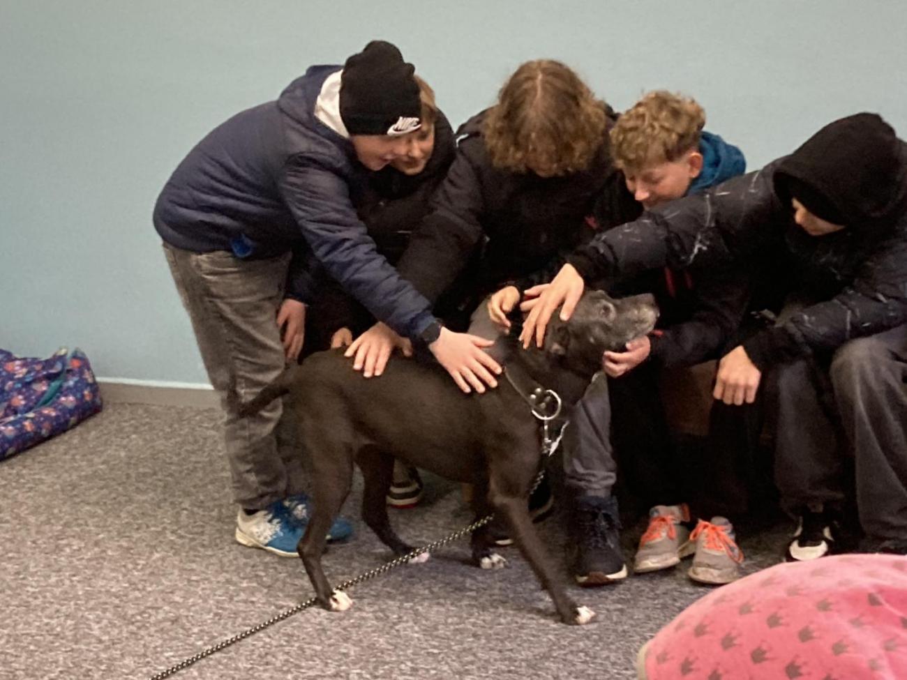 Svět práce - Útulek pro opuštěná a nalezená zvířata  7.A