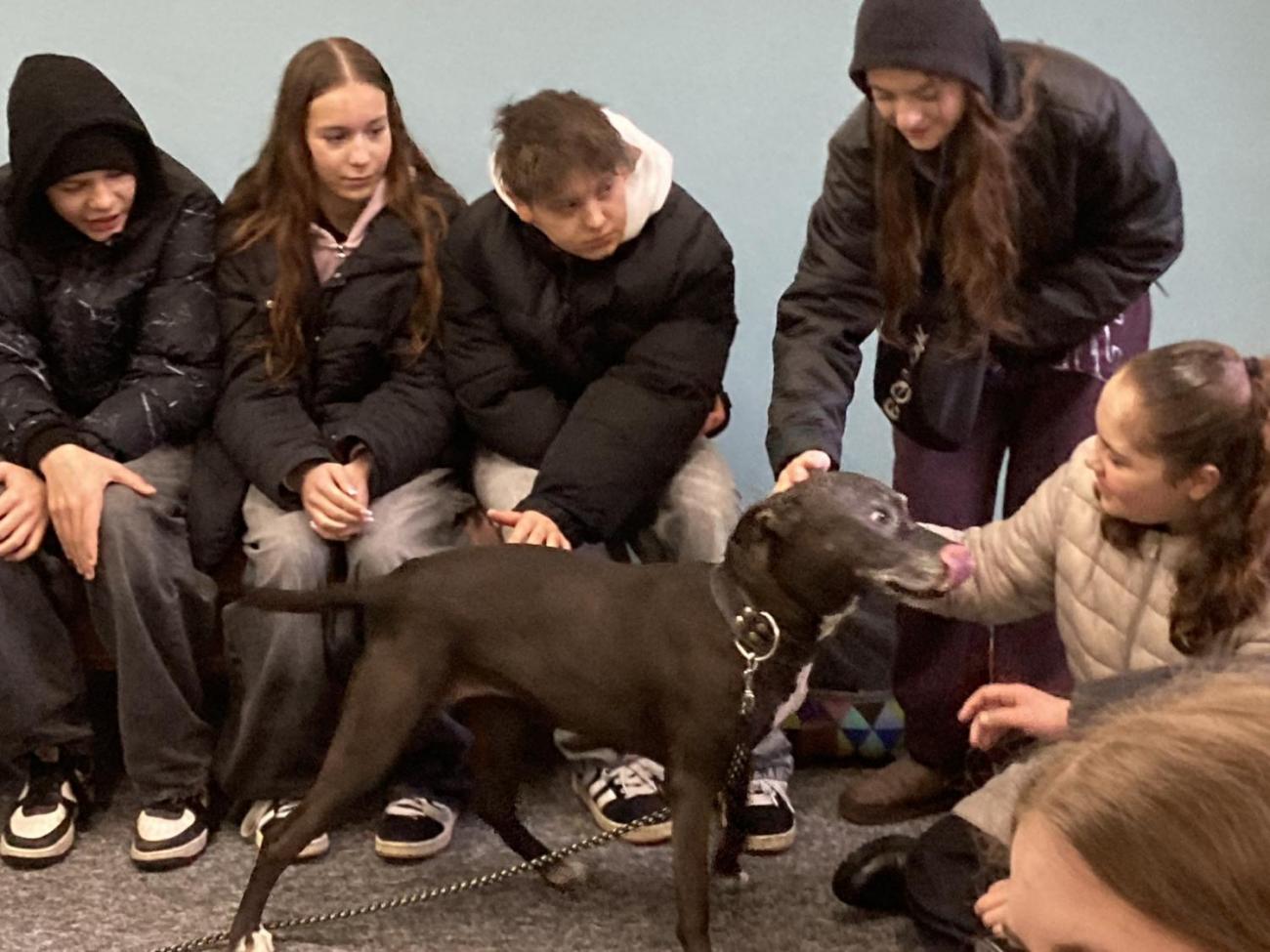 Svět práce - Útulek pro opuštěná a nalezená zvířata  7.A