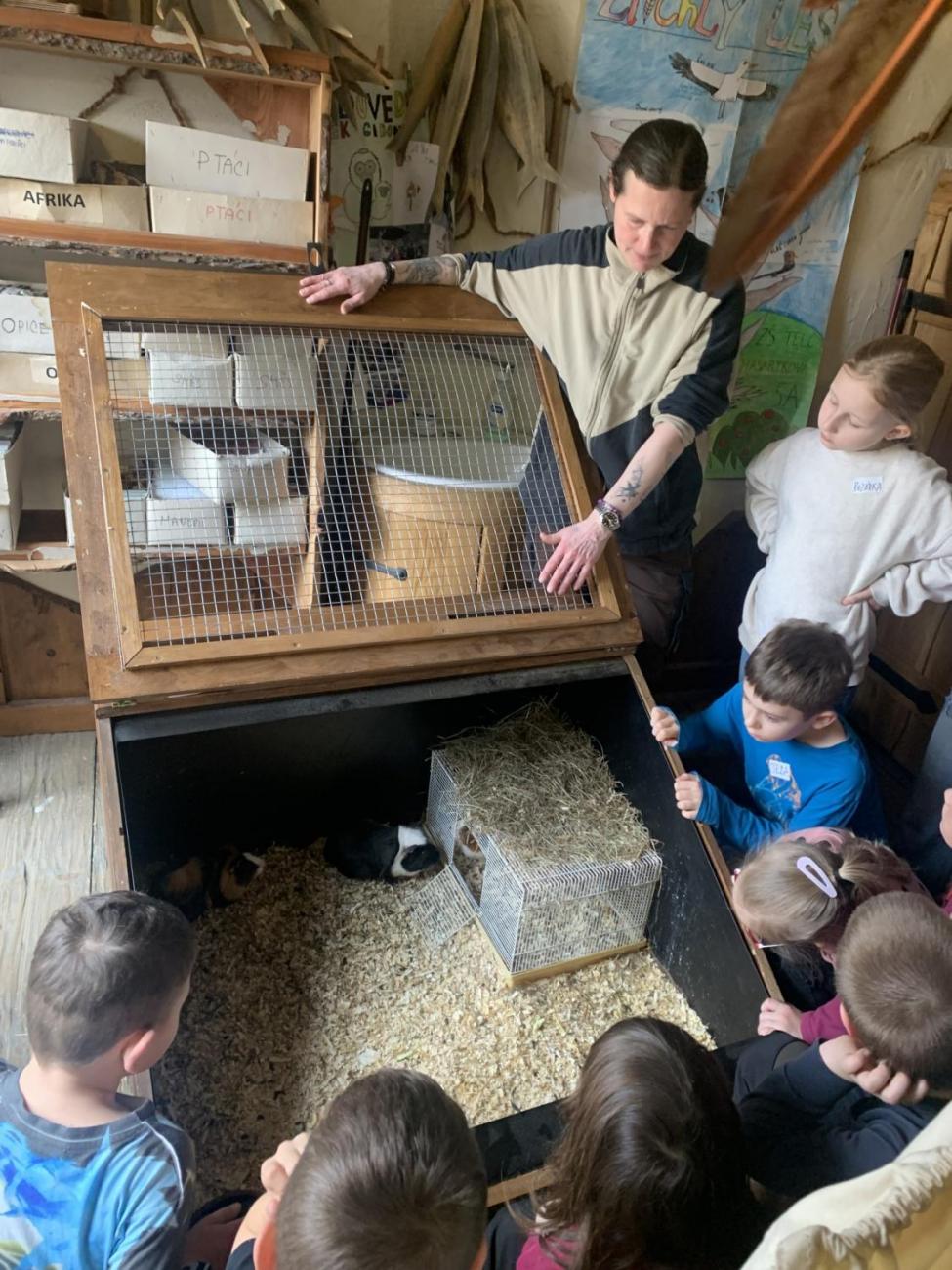 Mazlíčci (Zoo Podpovrch) 2.B