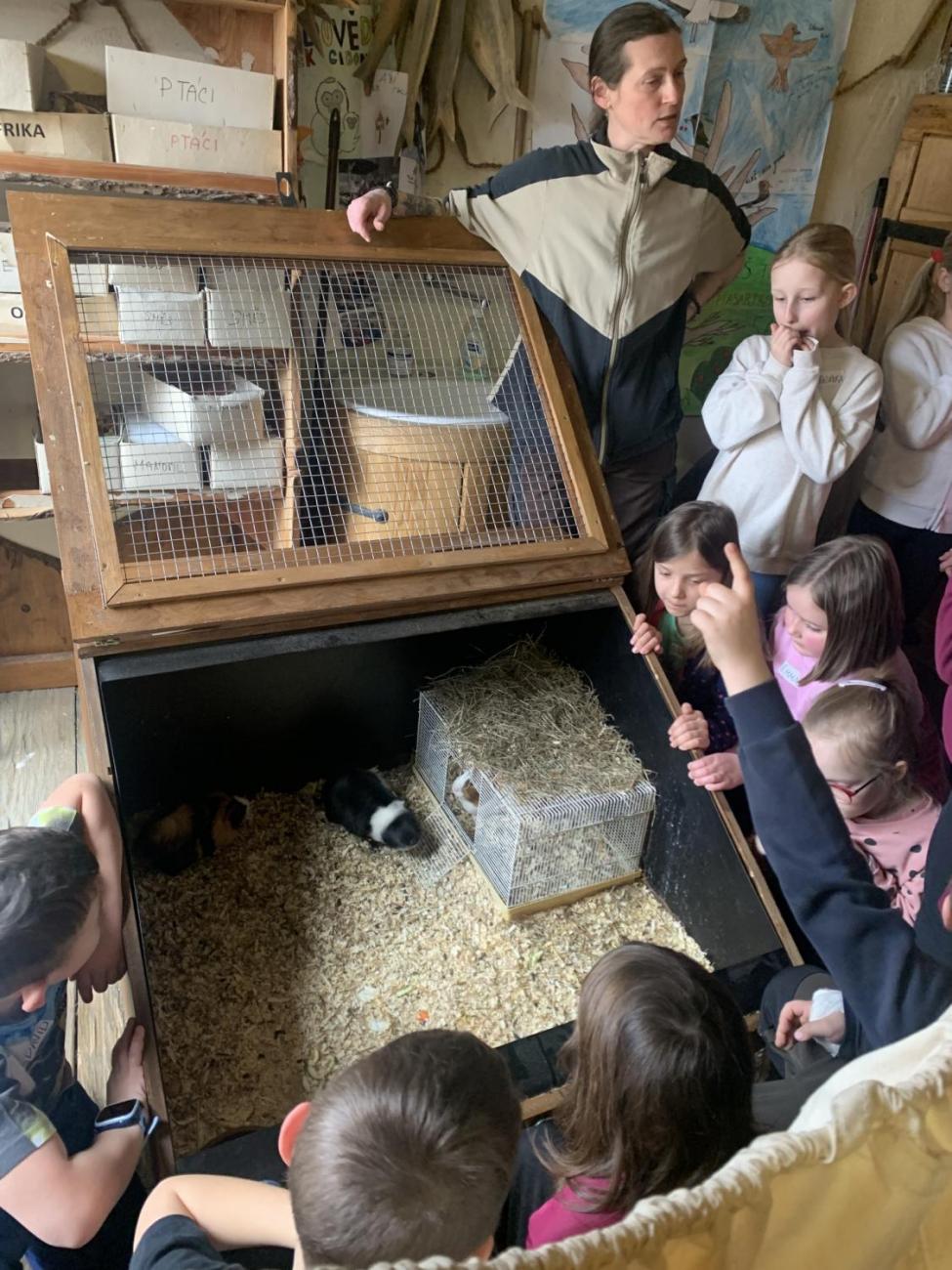 Mazlíčci (Zoo Podpovrch) 2.B