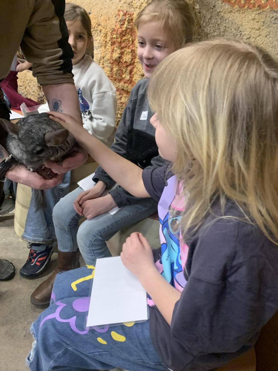 Mazlíčci (Zoo Podpovrch) 2.B