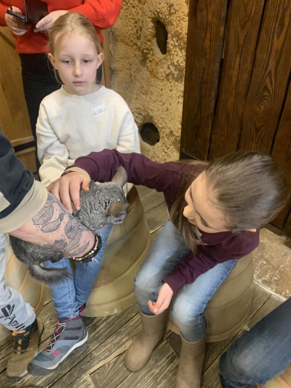 Mazlíčci (Zoo Podpovrch) 2.B