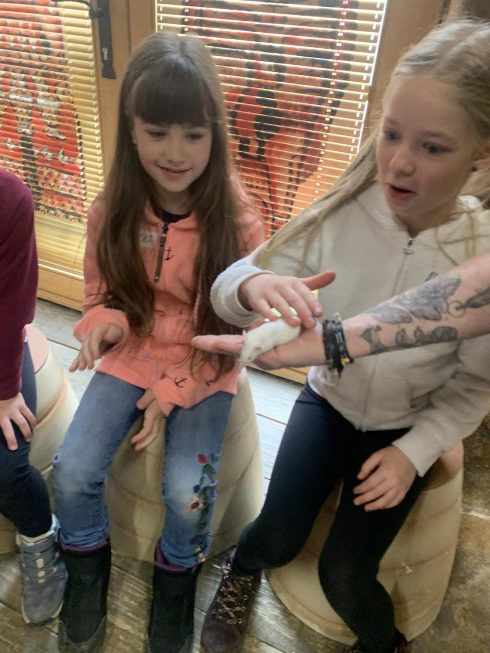 Mazlíčci (Zoo Podpovrch) 2.B