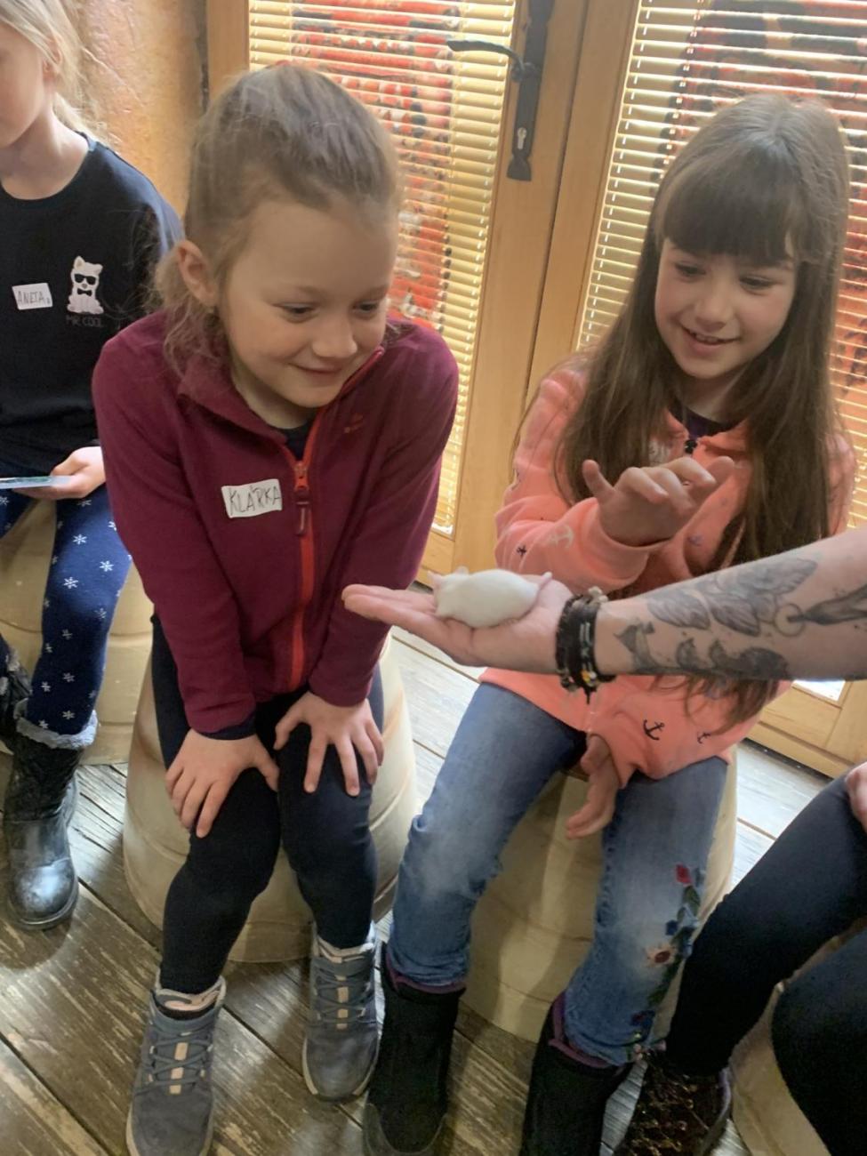 Mazlíčci (Zoo Podpovrch) 2.B