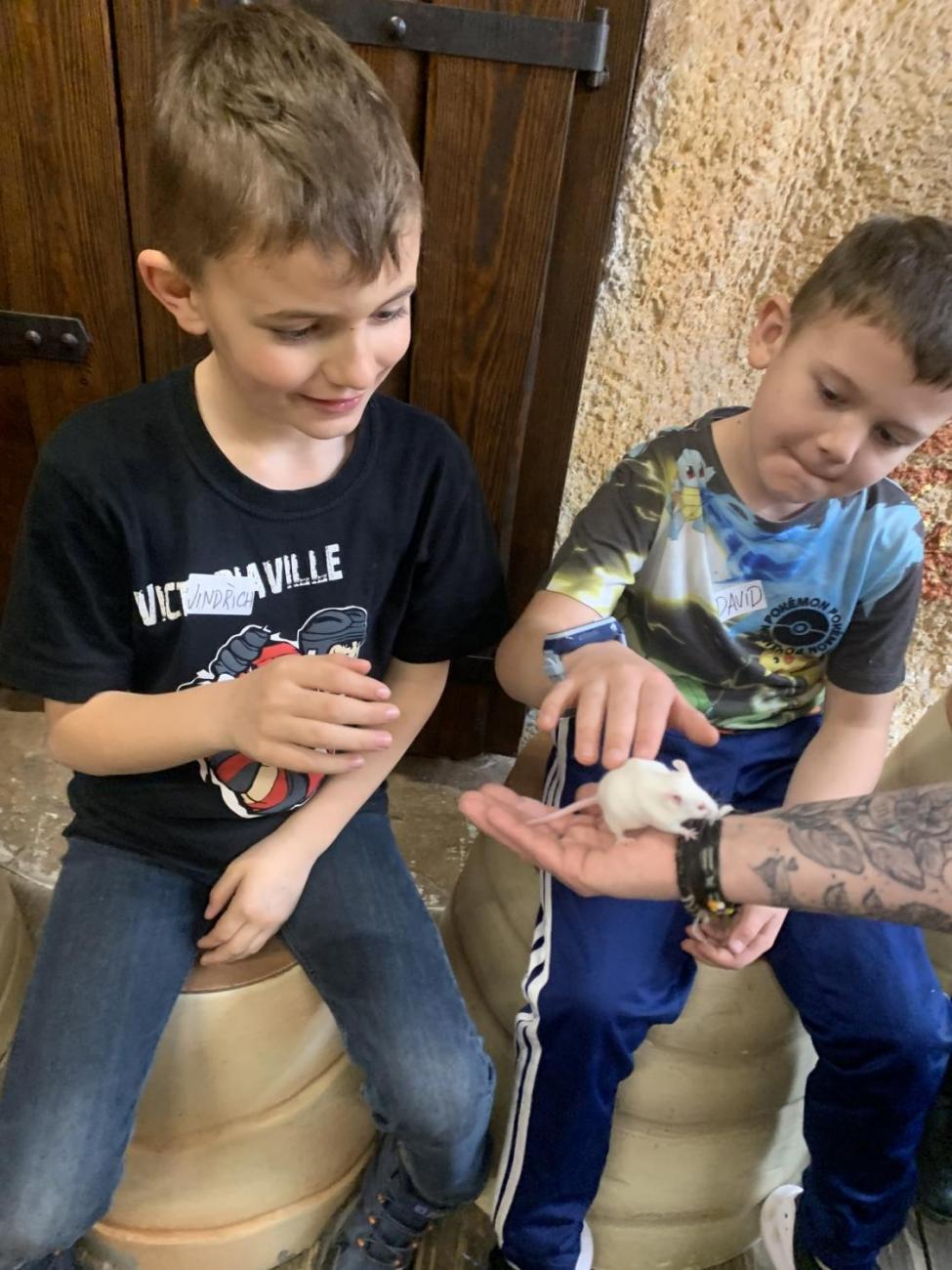 Mazlíčci (Zoo Podpovrch) 2.B