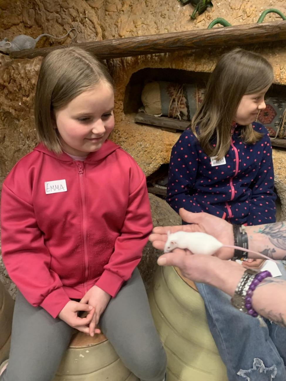 Mazlíčci (Zoo Podpovrch) 2.B