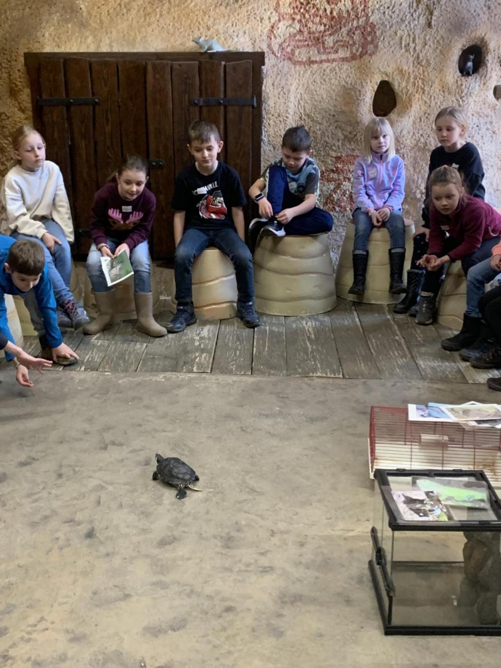 Mazlíčci (Zoo Podpovrch) 2.B