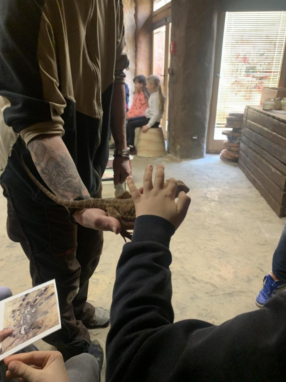 Mazlíčci (Zoo Podpovrch) 2.B