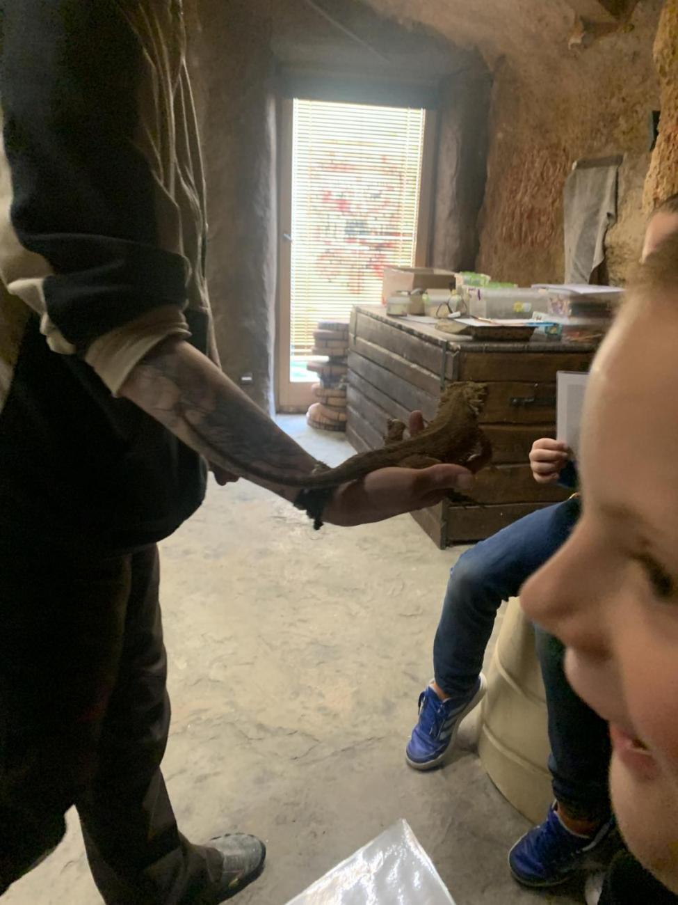 Mazlíčci (Zoo Podpovrch) 2.B