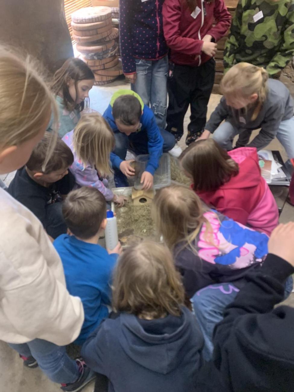 Mazlíčci (Zoo Podpovrch) 2.B