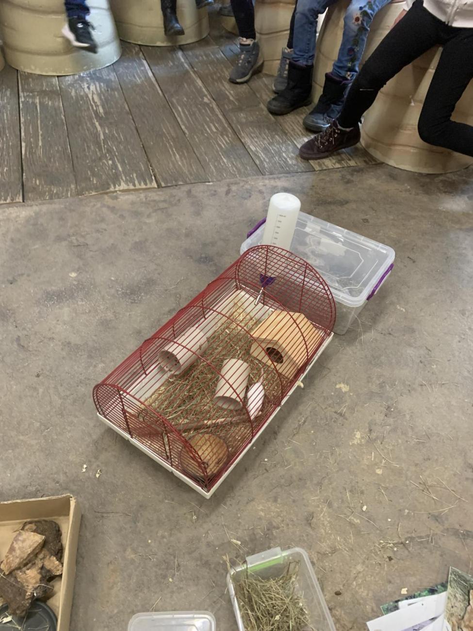 Mazlíčci (Zoo Podpovrch) 2.B