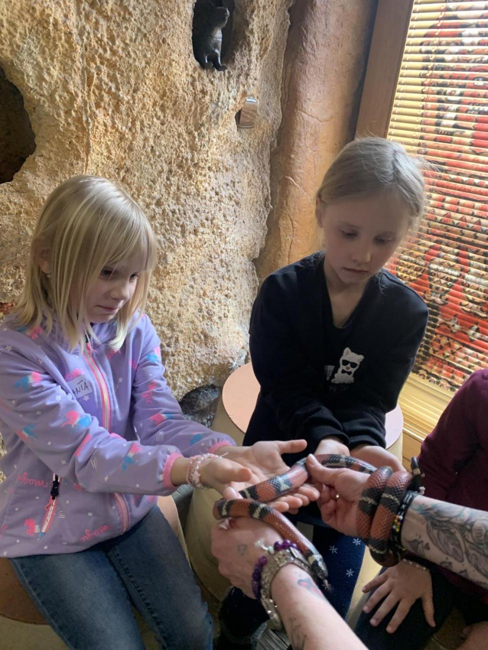 Mazlíčci (Zoo Podpovrch) 2.B