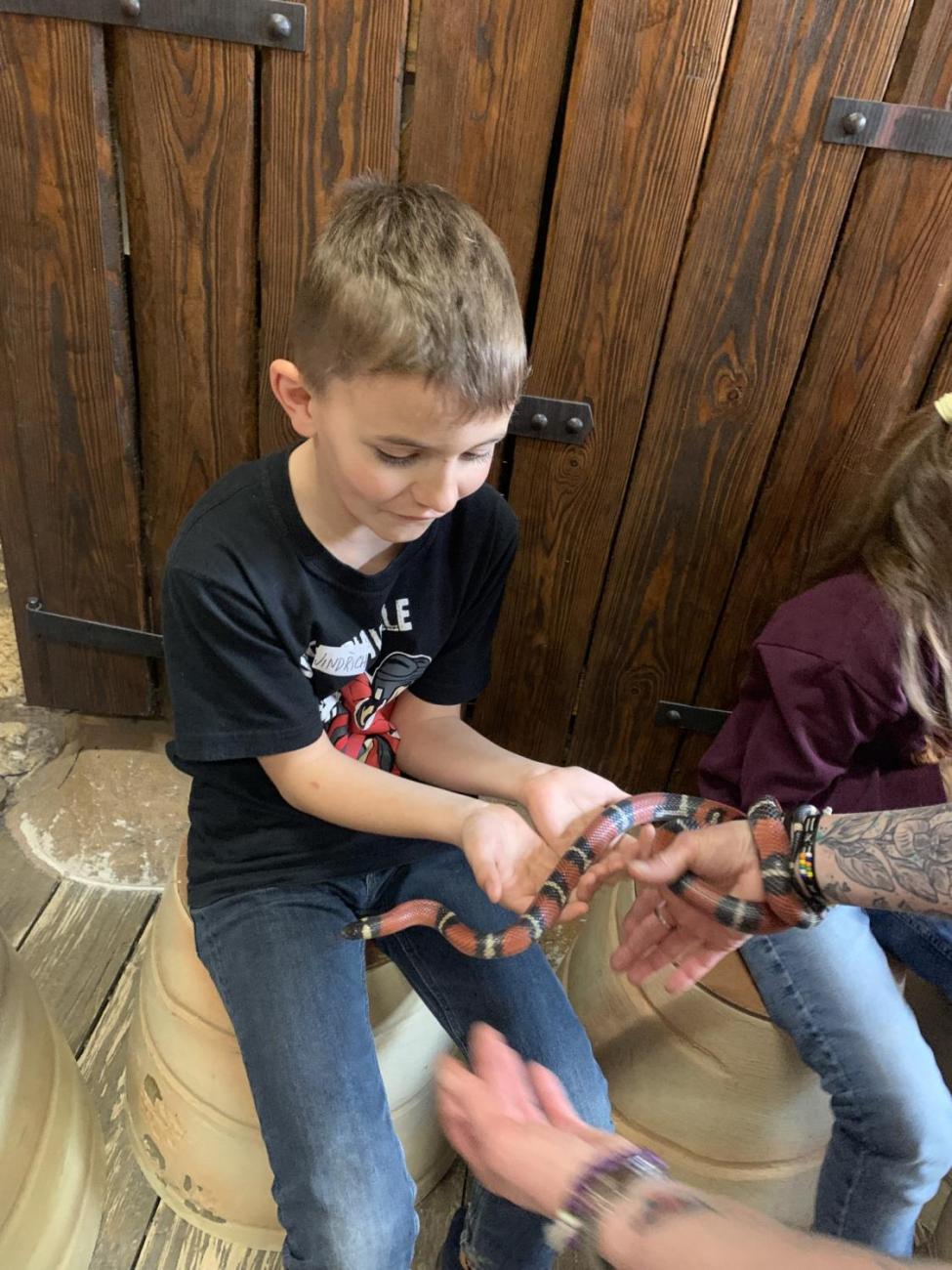 Mazlíčci (Zoo Podpovrch) 2.B