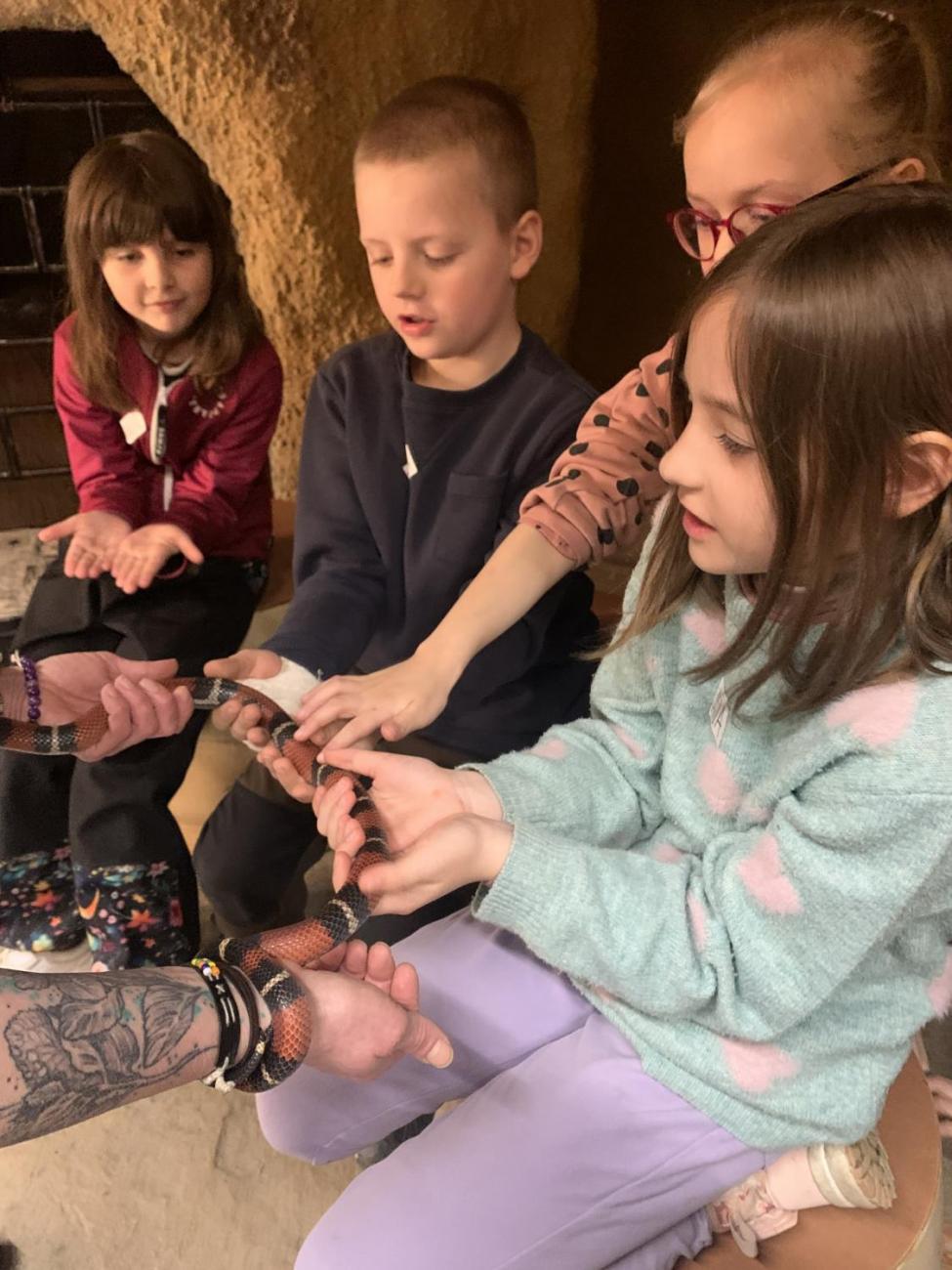 Mazlíčci (Zoo Podpovrch) 2.B