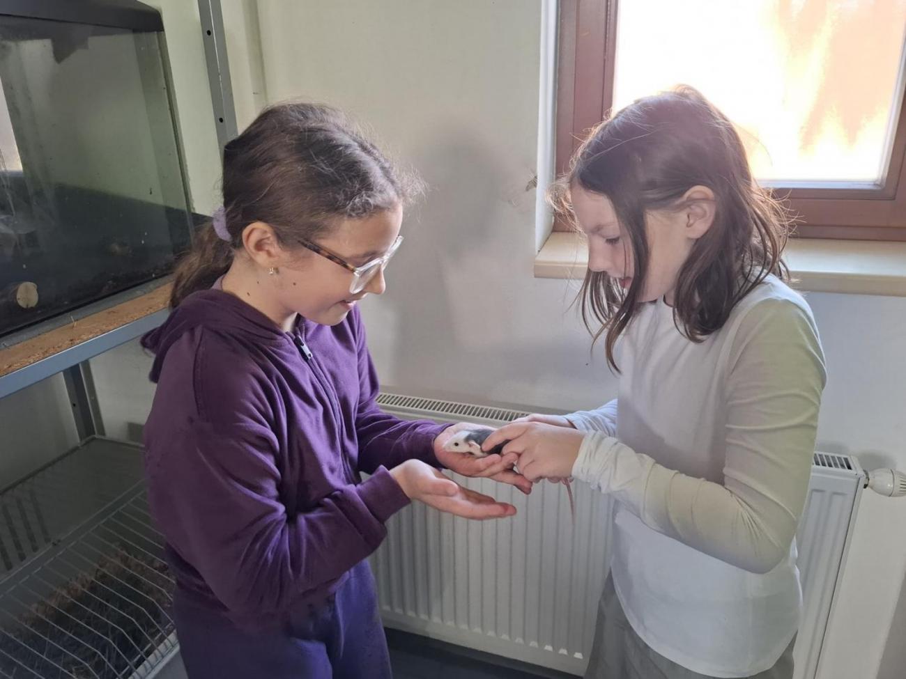 Projekt ŘEMESLA pro žáky 4. a 5. tříd