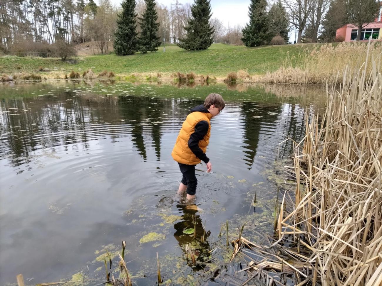 Žáci naší školy opět pomáhali přírodě v rámci akce Čistá Vysočina