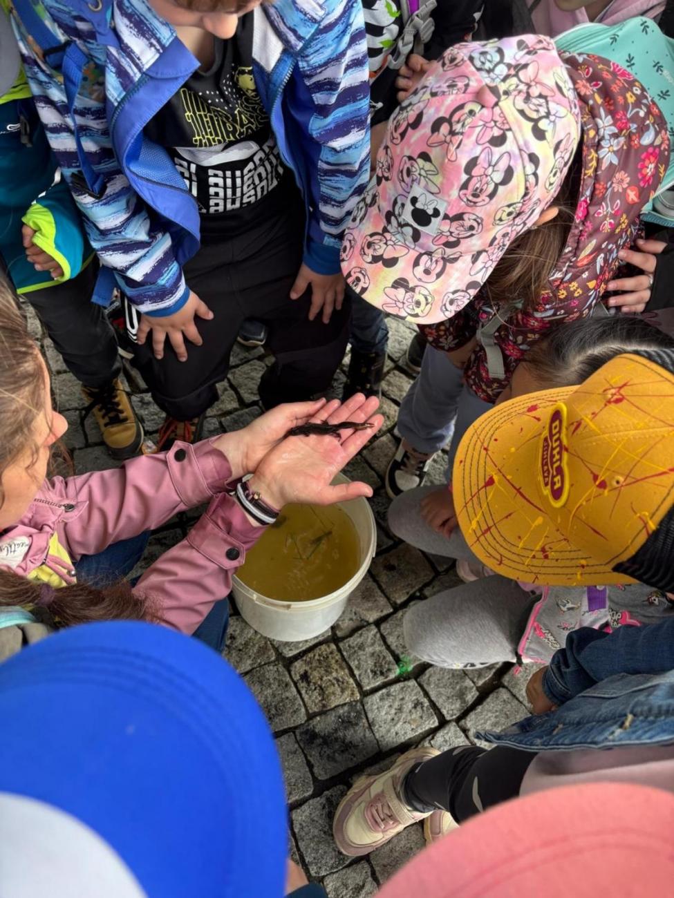 Den Země  1.B a 1.C