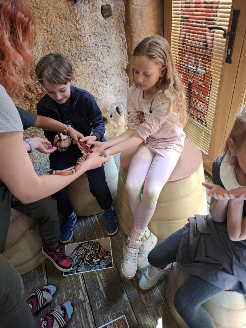 Návštěva ZOO Jihlava – program "Kde se plazí plazi"