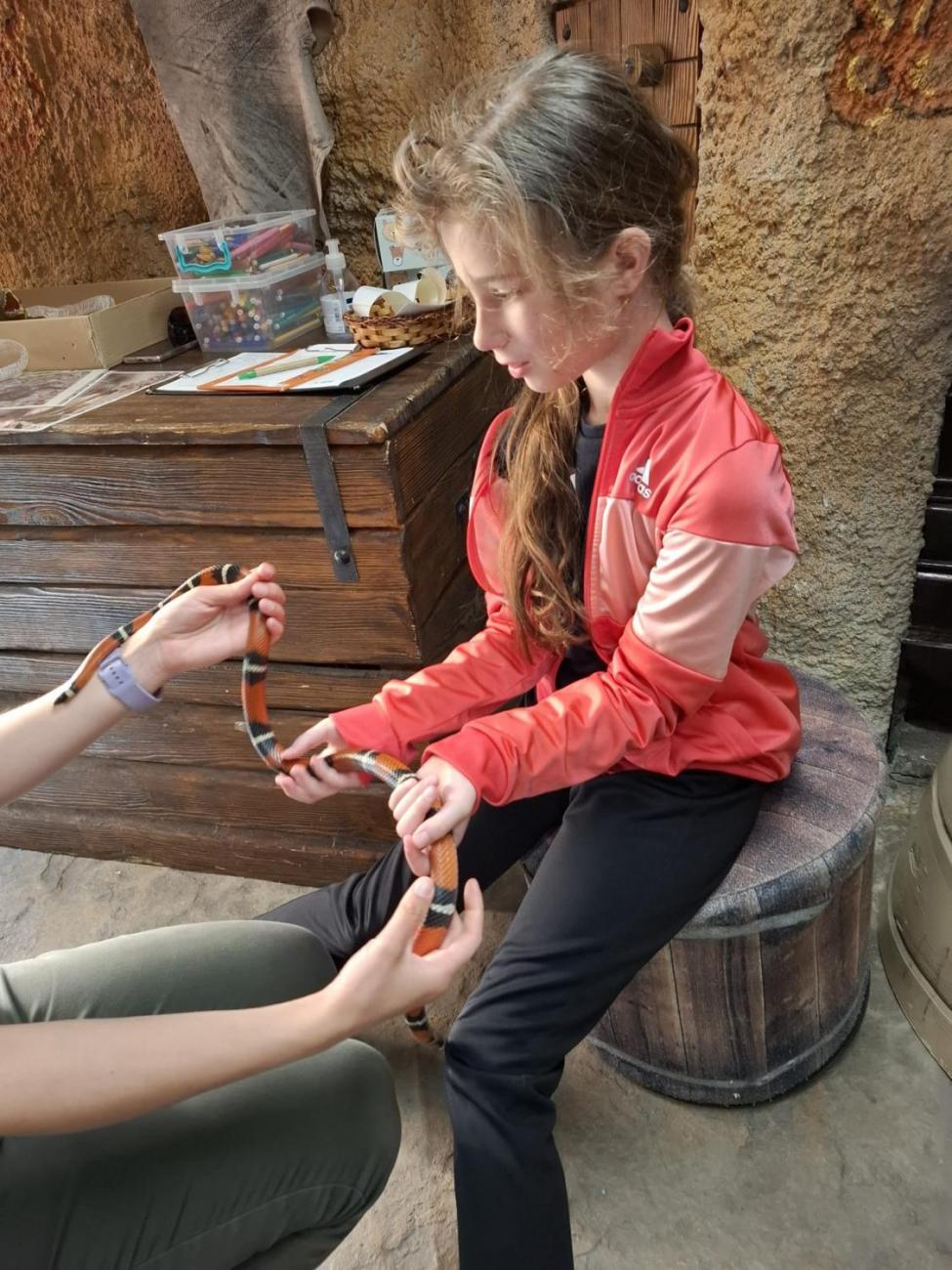 Návštěva ZOO Jihlava – program "Kde se plazí plazi"