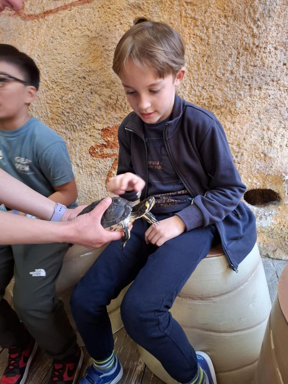 Návštěva ZOO Jihlava – program "Kde se plazí plazi"