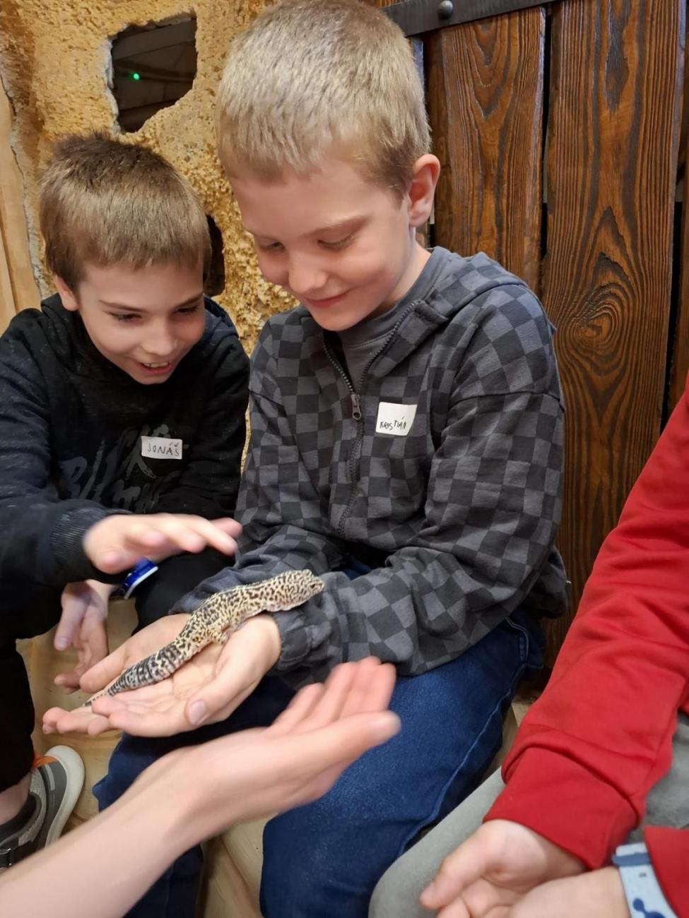 Návštěva ZOO Jihlava – program "Kde se plazí plazi"