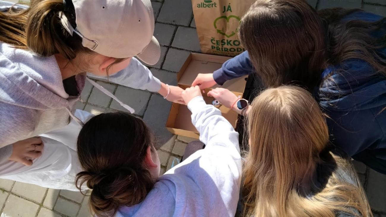 Unit 5 Project - Get out fun   6. ročník