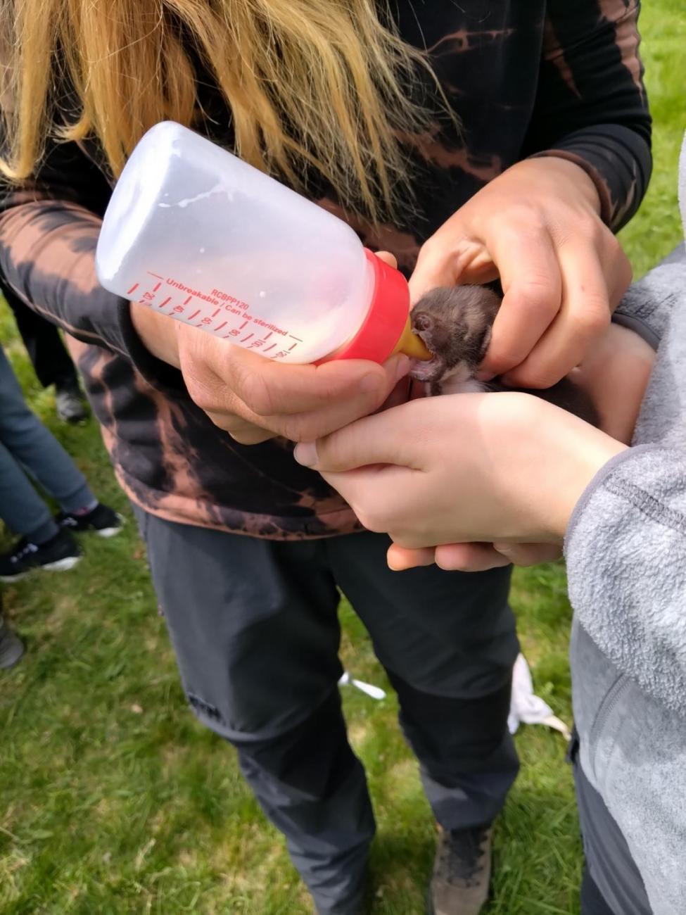 Zlatý list – úspěch našich badatelů