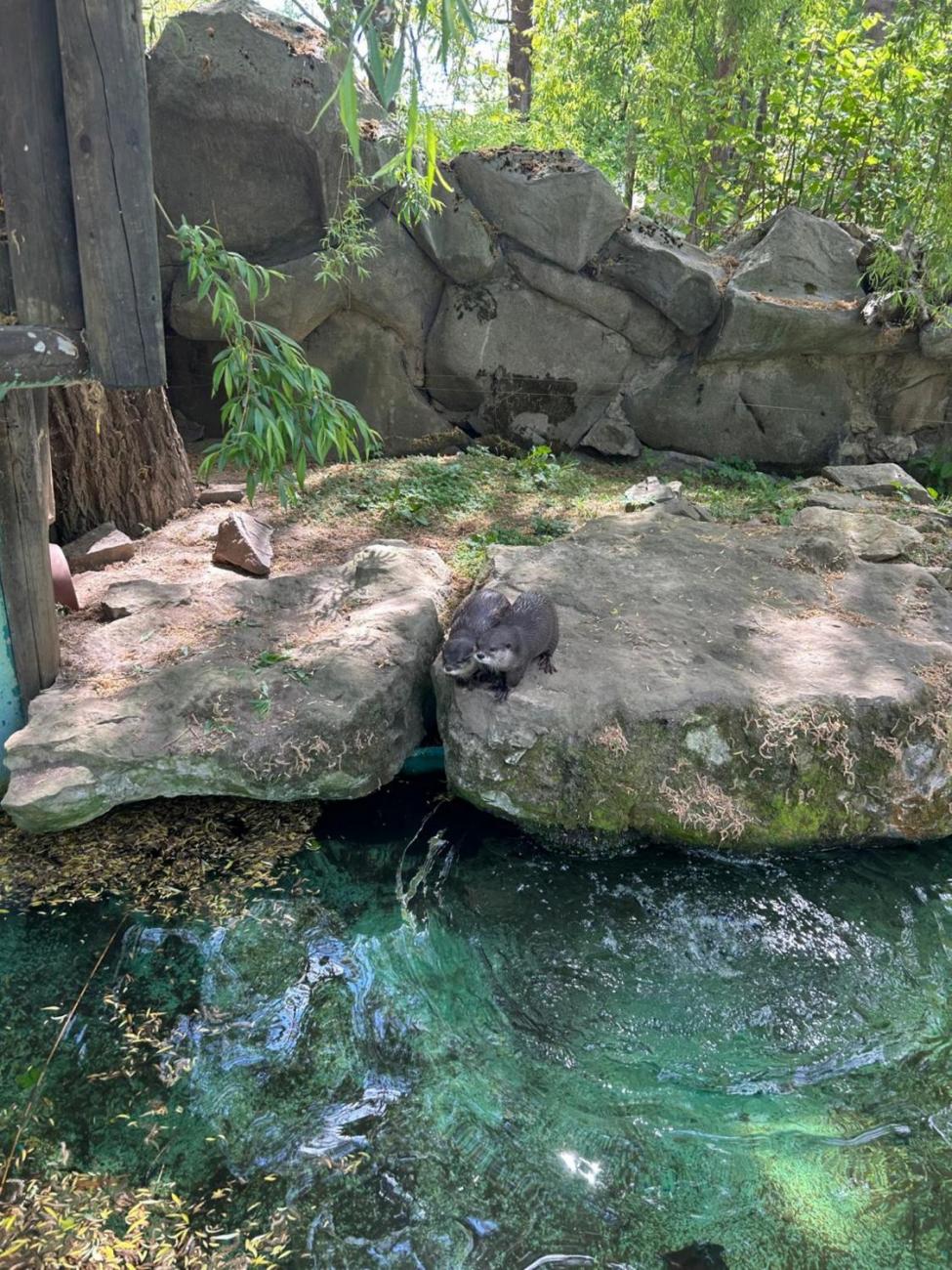 ZOO Jihlava - Program "Hmyzáci a jiné breberky"