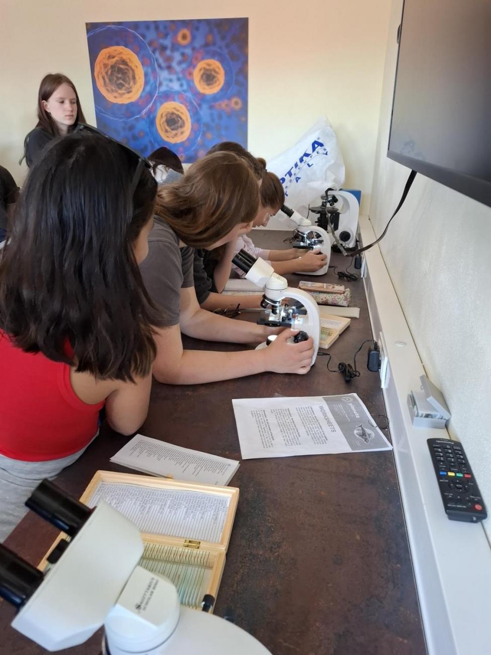 Waterproject - Výměnný pobyt s Holanďany