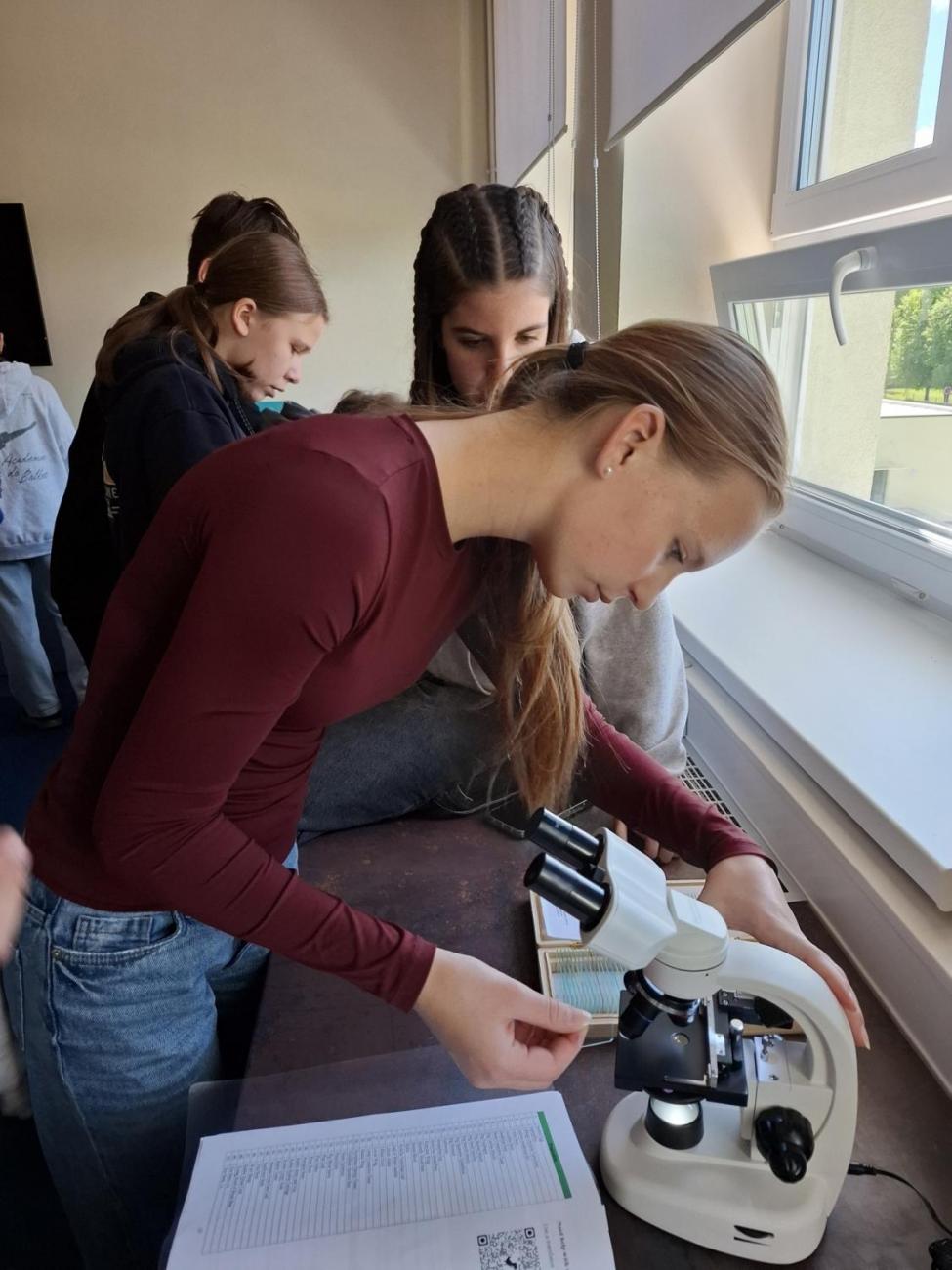 Waterproject - Výměnný pobyt s Holanďany