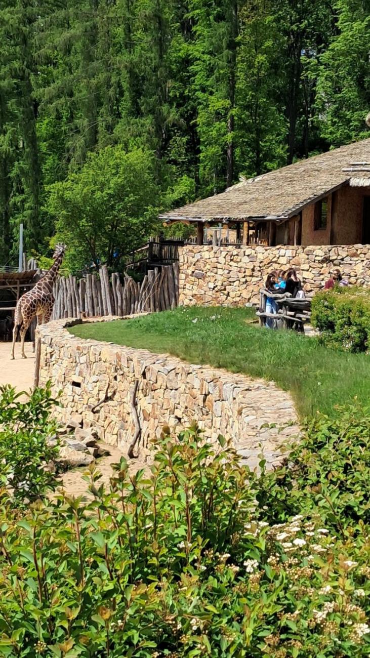 Waterproject - Výměnný pobyt s Holanďany