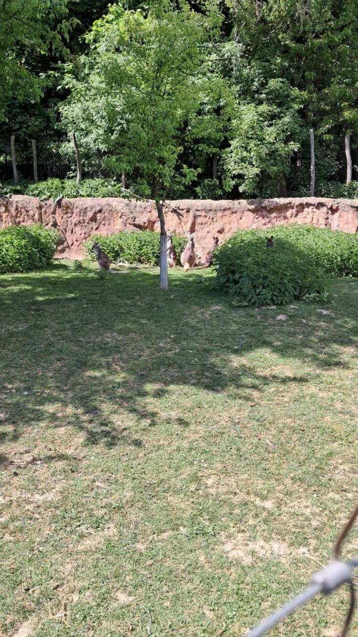 Waterproject - Výměnný pobyt s Holanďany