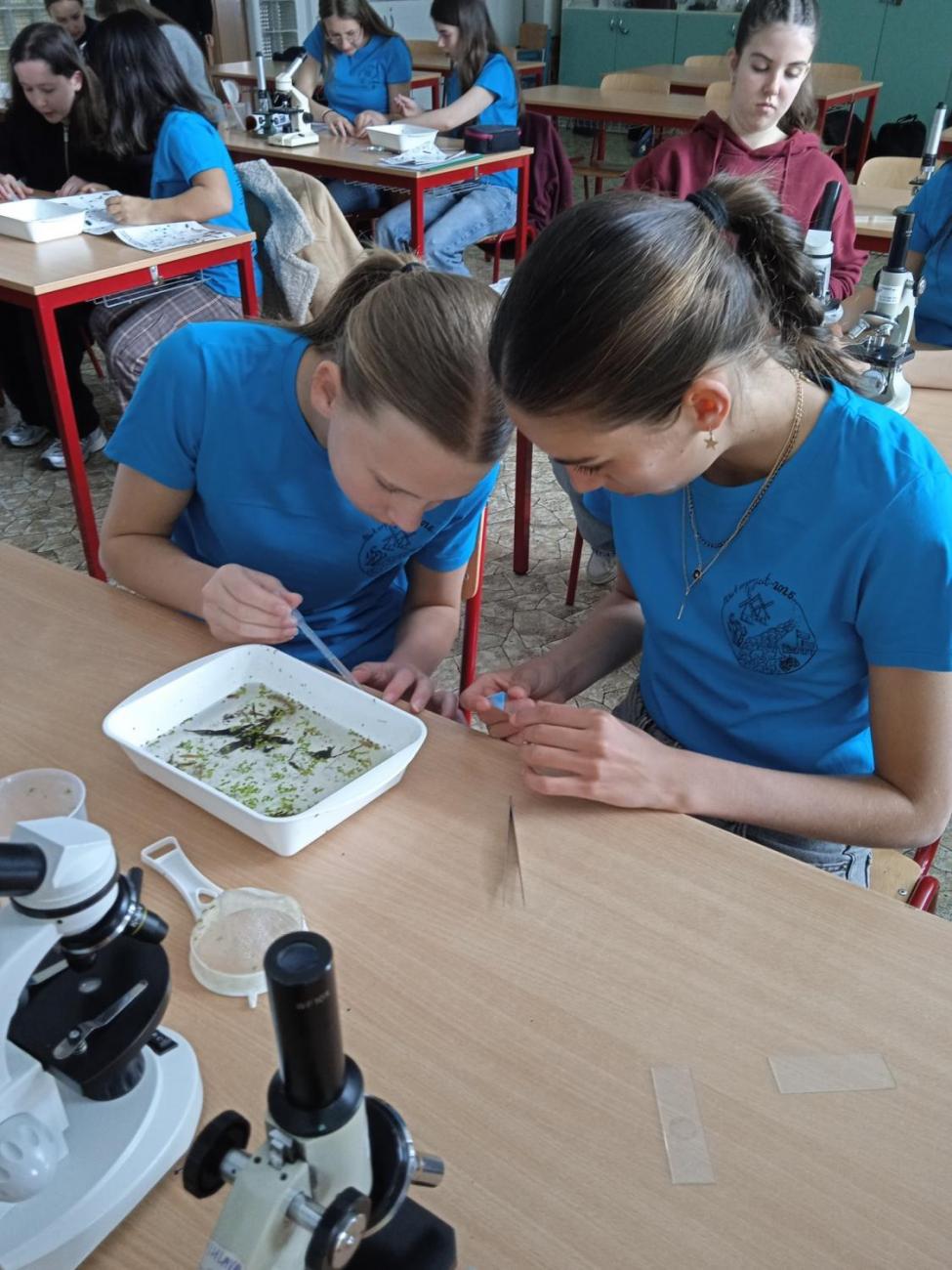 Waterproject - Výměnný pobyt s Holanďany