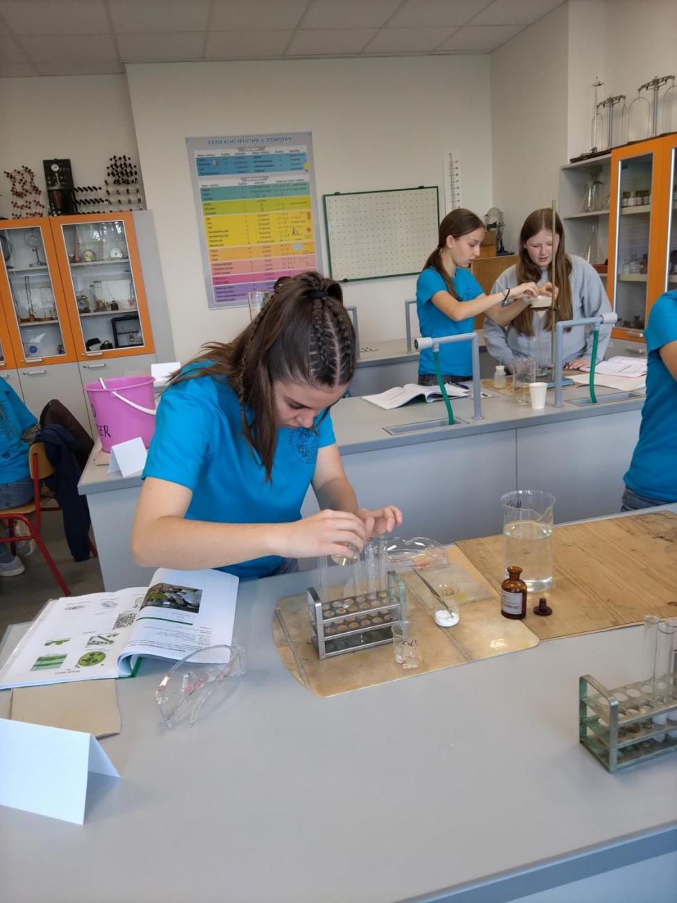 Waterproject - Výměnný pobyt s Holanďany