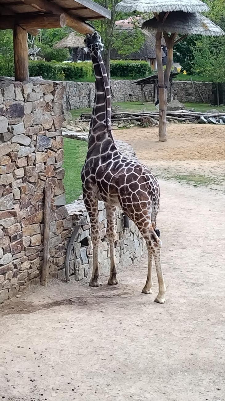 Waterproject - Výměnný pobyt s Holanďany