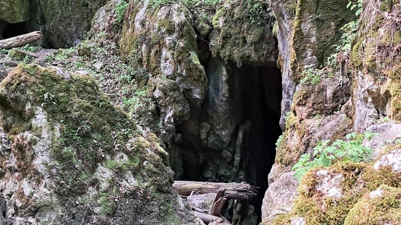 Waterproject - Výměnný pobyt s Holanďany