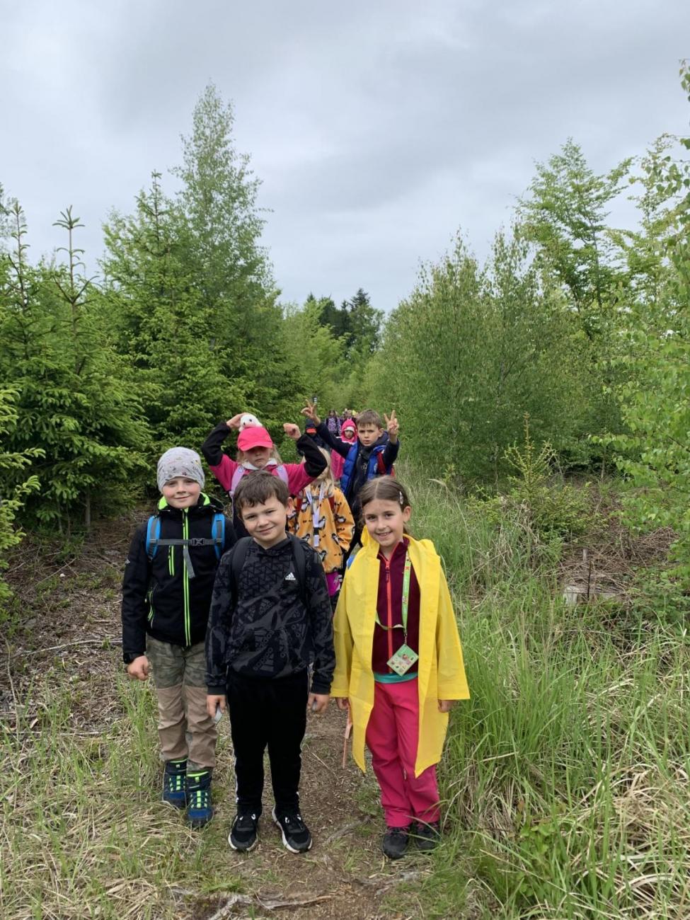 Výlet na hrad Roštejn  2.B