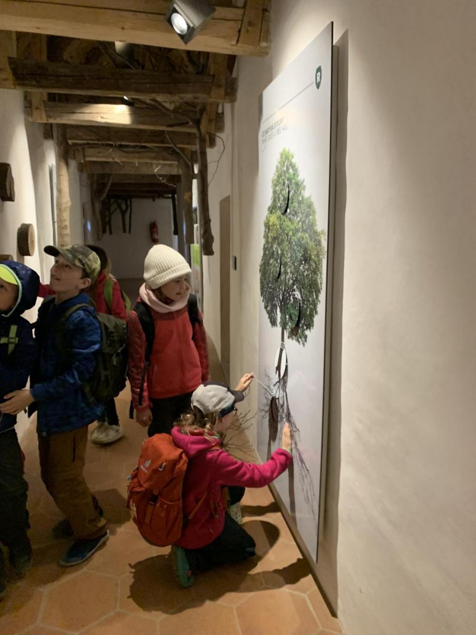 Výlet na hrad Roštejn  2.B