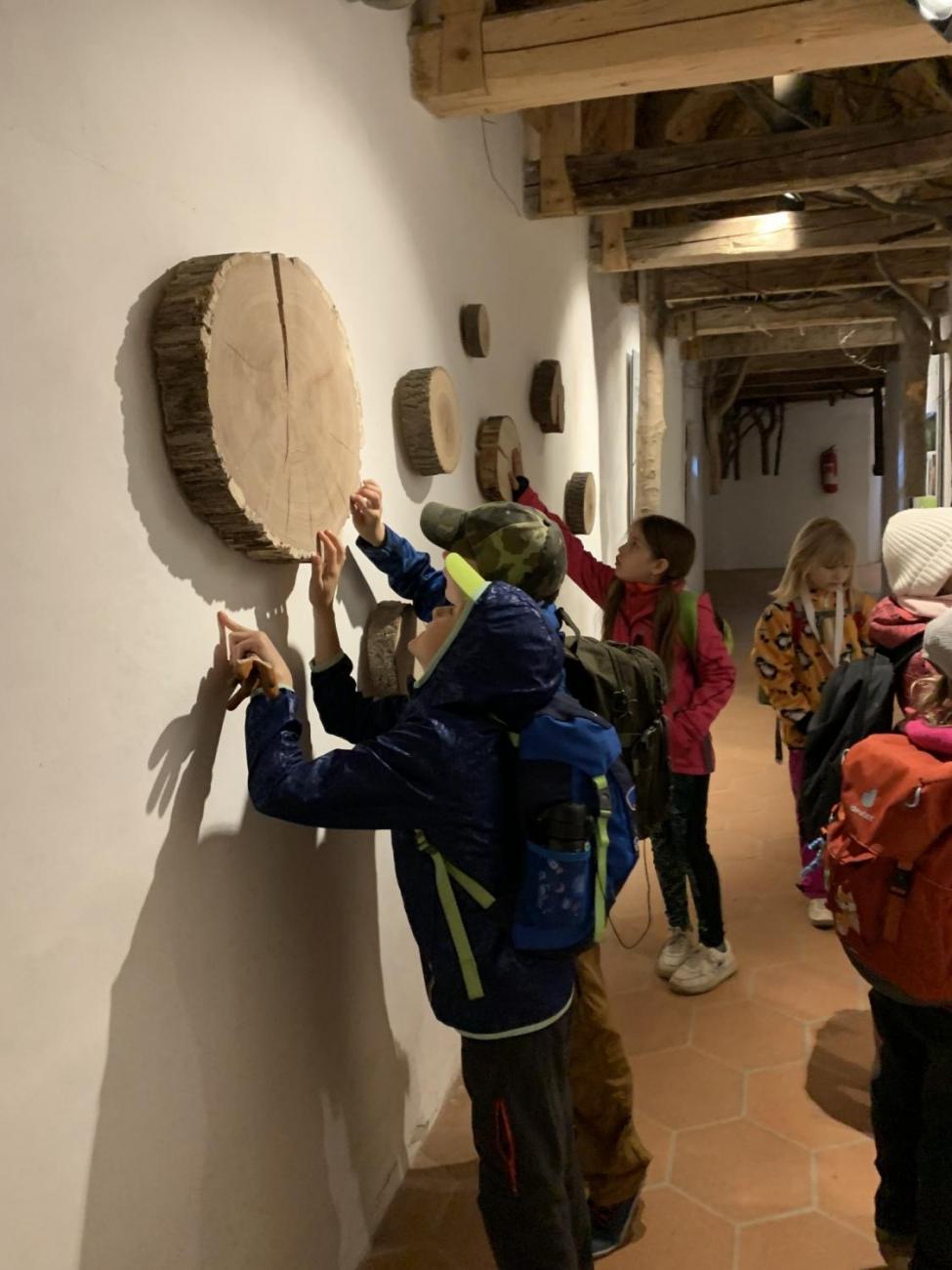 Výlet na hrad Roštejn  2.B