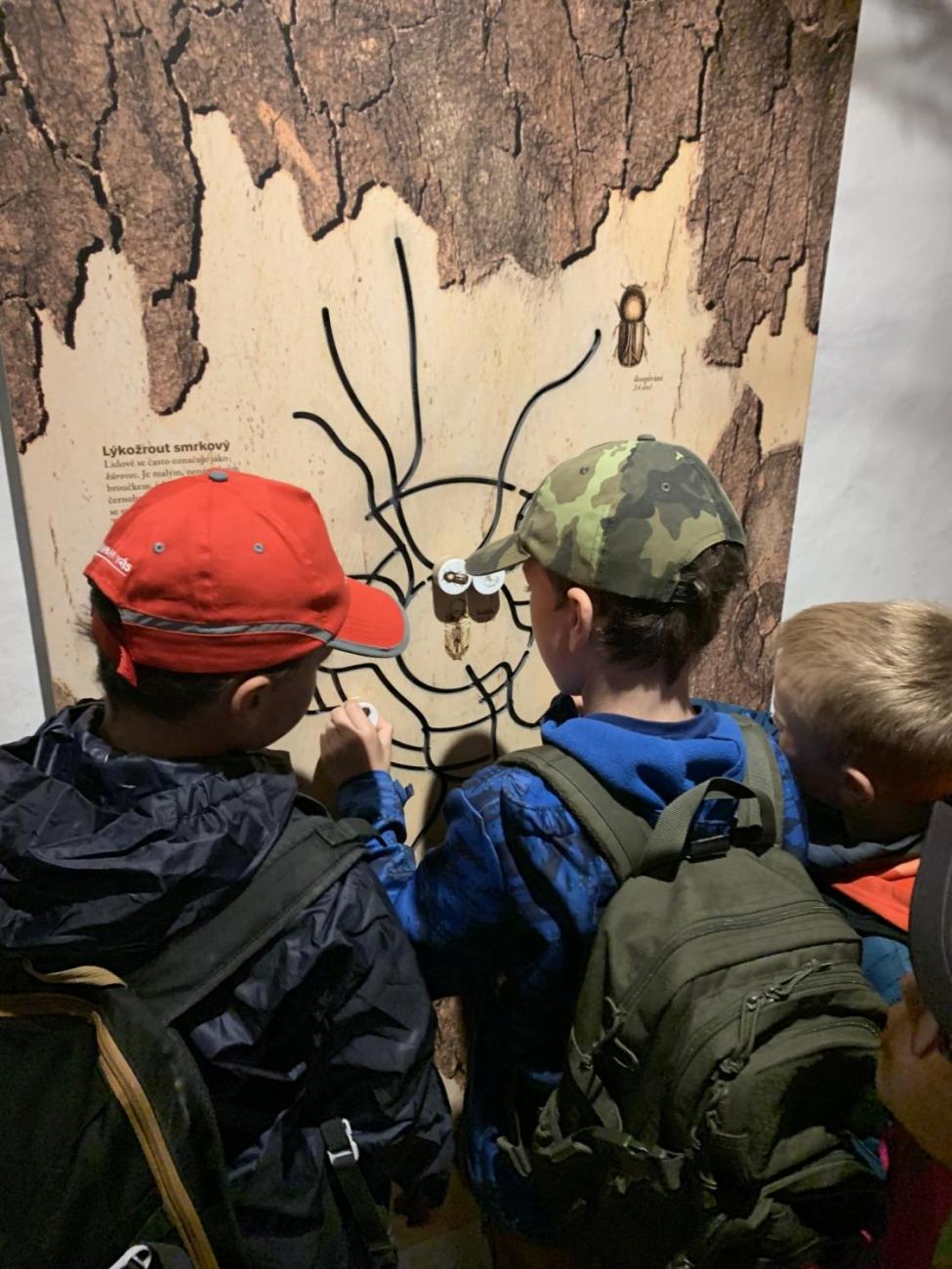 Výlet na hrad Roštejn  2.B