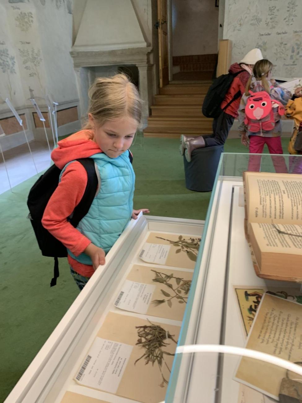 Výlet na hrad Roštejn  2.B