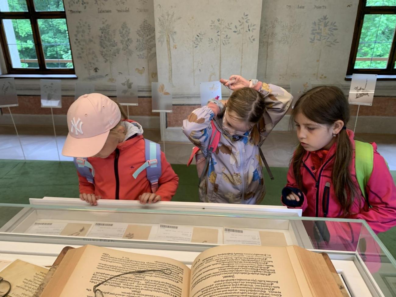 Výlet na hrad Roštejn  2.B