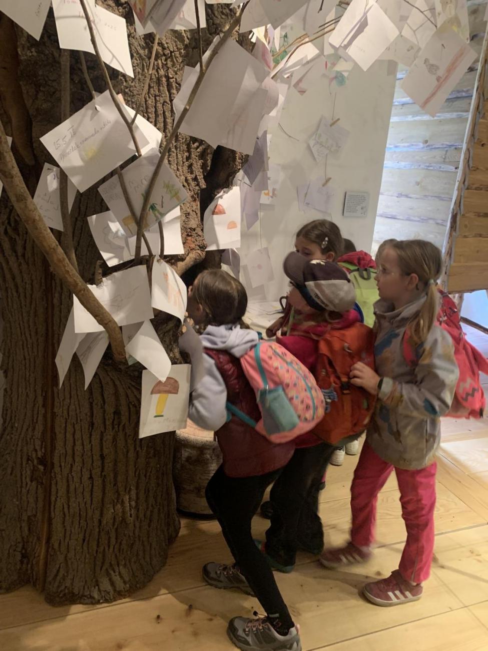 Výlet na hrad Roštejn  2.B